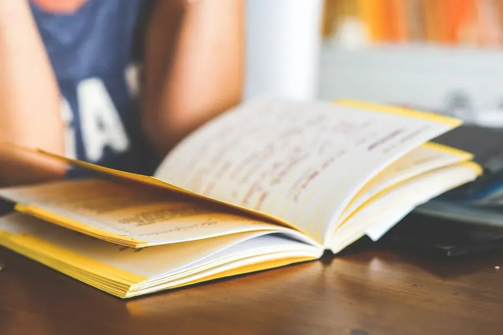 Person beim konzentrierten Lesen – Gehirntraining im Alltag.
