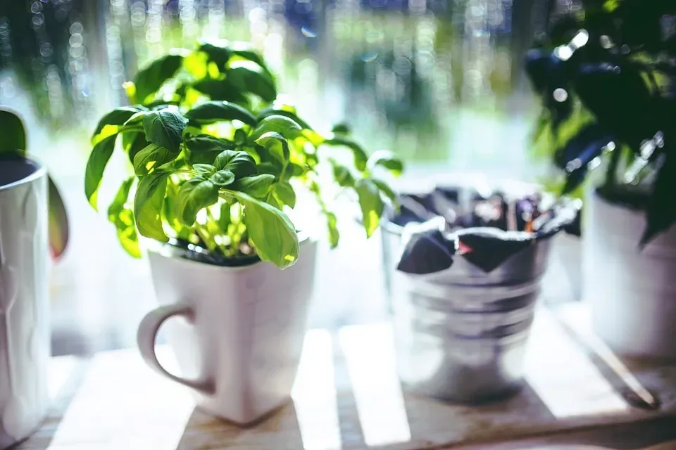 Grünes Büro: von Kräutern, ökologischer Recherche und nachhaltigem Büromaterial.