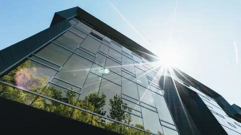 7 Tipps für ein grünes Büro